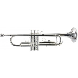 Kèn Trumpet Selmer TR650S