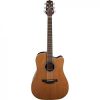 Takamine đàn guitar acoustic GD20CE-NS