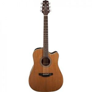 Takamine đàn guitar acoustic GD20CE-NS