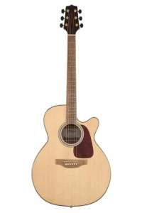 guitar-takamine