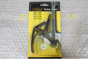 Alice20A007A 1 300x200 2