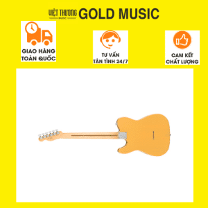 Fender 0145212550 Đàn guitar điện tele player mn btb Bản sao của Thiết kế không tên (1)