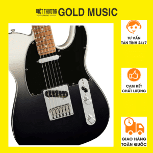 FENDER 0147333336 ĐÀN GUITAR ĐIỆN PLAYER PLUS TELE SILVER SMOKE Bản sao của Thiết kế không tên (2)