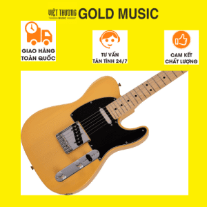 Fender 0145212550 Đàn guitar điện tele player mn btb Bản sao của Thiết kế không tên (2)