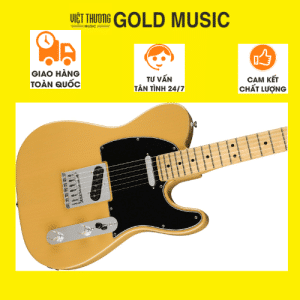 Fender 0145212550 Đàn guitar điện tele player mn btb Bản sao của Thiết kế không tên