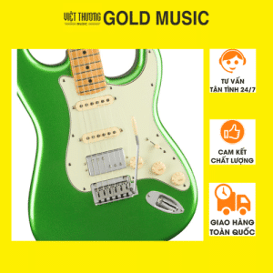 FENDER 0147322376 ĐÀN GUITAR ĐIỆN PLAYER PLUS STRAT HSS MN CMJ Bản sao của Thiết kế không tên (3)