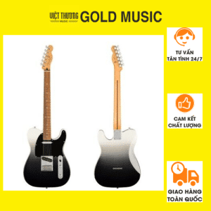 FENDER 0147333336 ĐÀN GUITAR ĐIỆN PLAYER PLUS TELE SILVER SMOKE Bản sao của Thiết kế không tên (4)