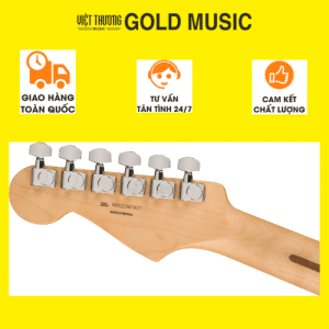 Fender 0144522573 Đàn Guitar điện PLAYER STRAT HSS MN SEAFG Bản sao của Thiết kế không tên (4)