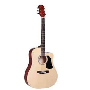 TAKAMINE ED1DC