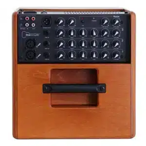 Acus One Forstrings 6T Wood AMPLY GUITAR THÙNG acus one forstrings 6t