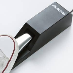 alesis asp 2 pedal dan