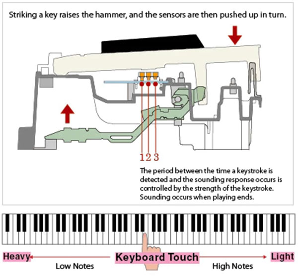 ban phim hoat dong dau can 3 cam bien 2