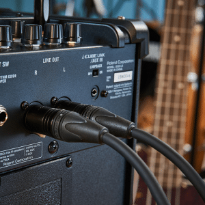 Boss DCB-LX Loa guitar bass boss dcb lx loa guitar bass 1