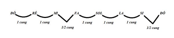 cung-va-nua-cung-guitar