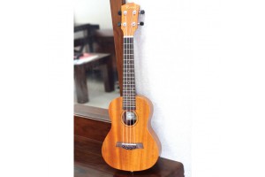 dan concert ukulele 300x200 2