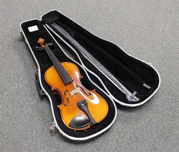 dan violin WL16E4CH 4