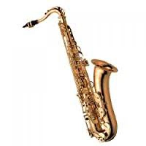 YANAGISAWA YANIMETALLIGSS  Phụ kiện Saxophone