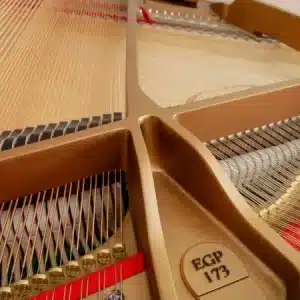 egp 173c 4 600x450.jpg