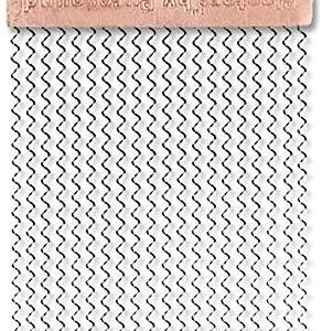 evans p1420 day tem trong snare