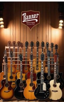 guitar collection