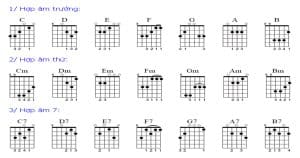 Danh sách các hợp âm guitar cơ bản cho người mới học? hop-am-guitar