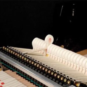 KAWAI GL-10 ĐÀN PIANO GRAND kawai gl 10 dan piano grand