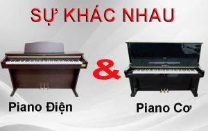 nhung-diem-khac-biet-giua-dan-piano-co-va-piano-dien