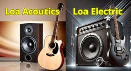 loa acoutics electic