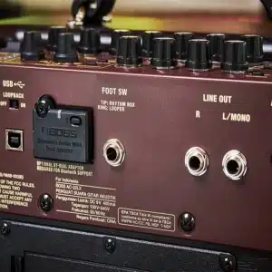 roland ac 22lx loa guitar dien 2