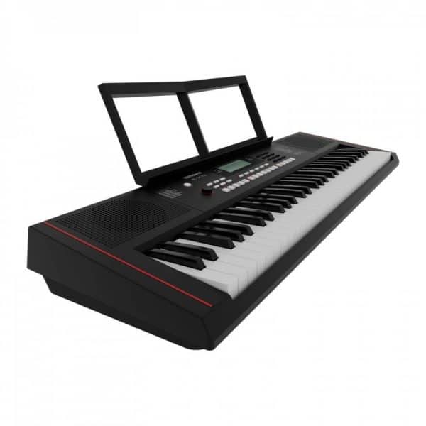 roland e x10 dan phim 3