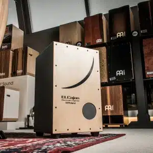 roland ec 10 trong dien cajon 1