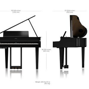 ROLAND GP-6 PE Piano Kỹ Thuật Số roland gp 6 pe piano ky thuat so 1