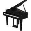 roland gp 6 pe piano ky thuat so