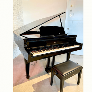 roland gp 609 pe piano ky thuat so 1