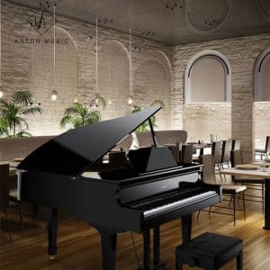 roland gp 609 pe piano ky thuat so