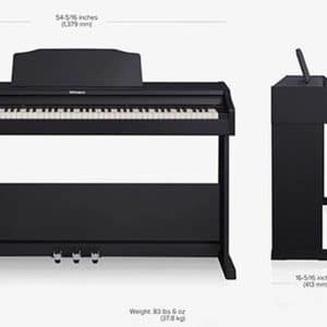 roland rp 102 dan piano dien 3