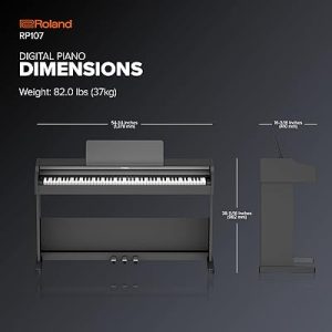 roland rp107 dan piano ky thuat so 2