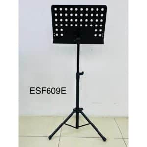 soundking esf609e gia nhac