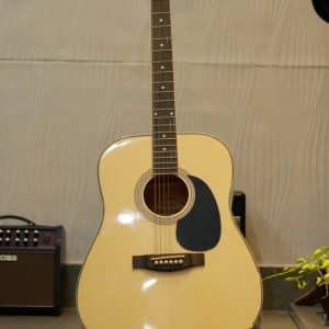 suzuki sdg 15nl dan guitar 1