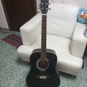suzuki sdg 6bk dan guitar 2