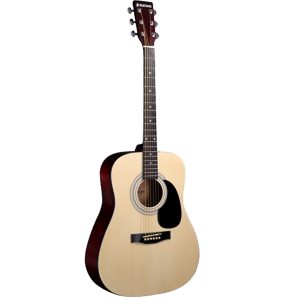 suzuki sdg 6nl dan guitar