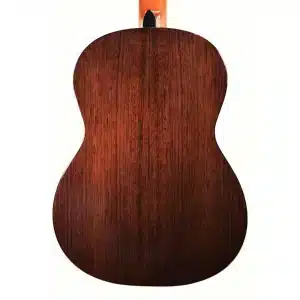 takamine gc5 nat dan guitar 1