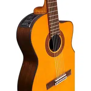 takamine gc5 nat dan guitar 2