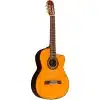 takamine gc5 nat dan guitar 3