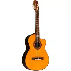 takamine gc5 nat dan guitar 3