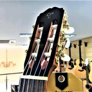 takamine gc5 nat dan guitar