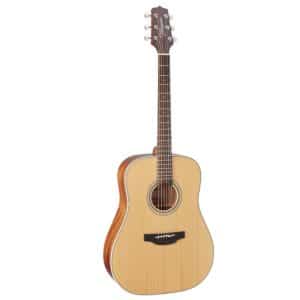 takamine gd20 ns 1