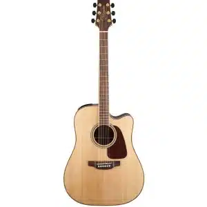 takamine gd93ce 1