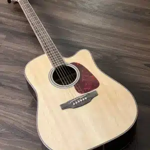 takamine gd93ce