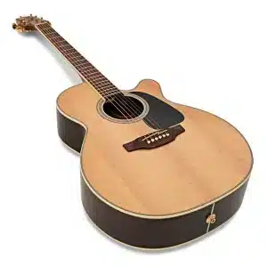 takamine gn51ce nat dan guitar 1